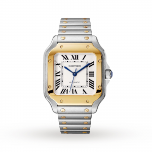 montre Cartier Santos pour homme en argent de 35 mm