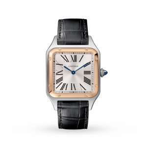 montre cartier santos dumont argent 31mm pour femme