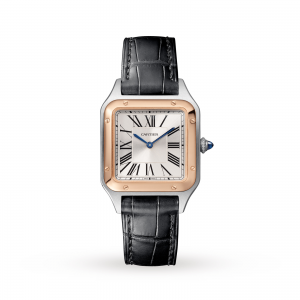 montre cartier santos dumont dames argent 27mm