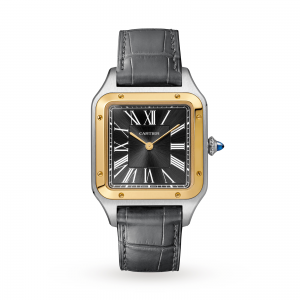 cartier santos-dumont montre grise homme 31mm