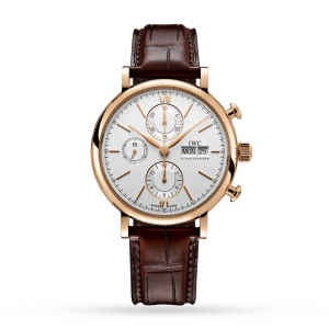 iwc portofino montre homme en argent 42 mm