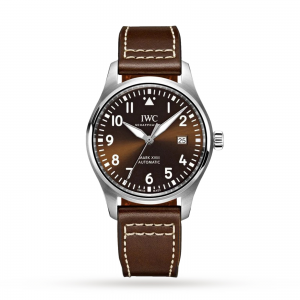 iwc pilot Hommes brown 40mm Montre