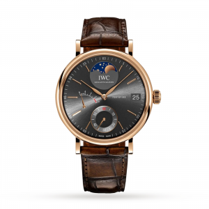 iwc portofino montre grise homme 45 mm